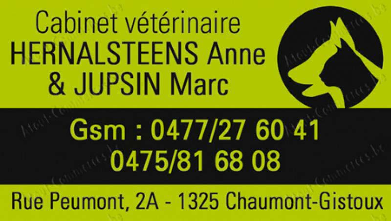 Cabinet Vétérinaire Jupsin - Hernalsteens