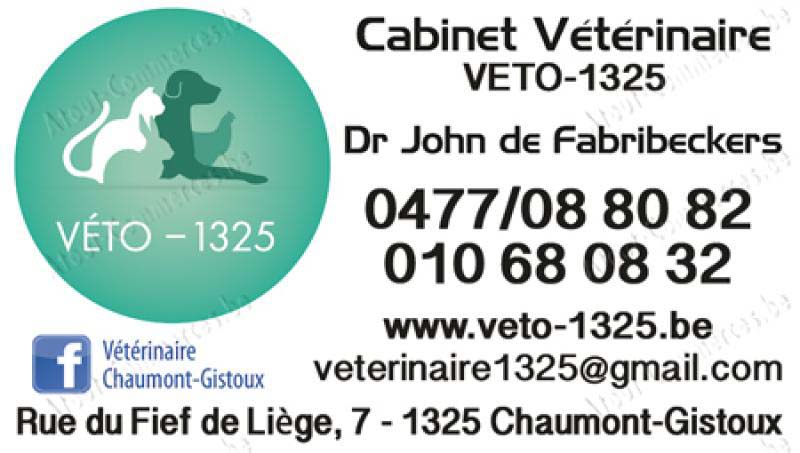 Cabinet Veto-1325