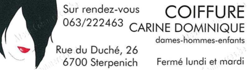 Coiffure Carine Dominique