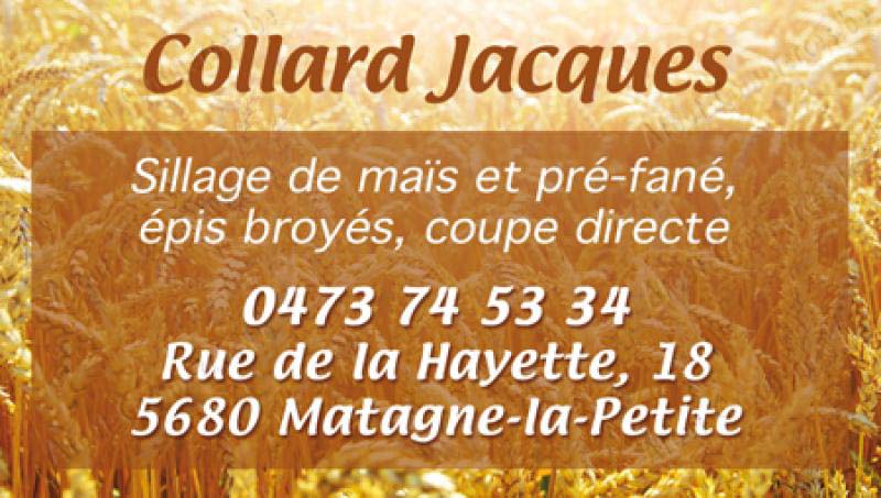 Collart J
