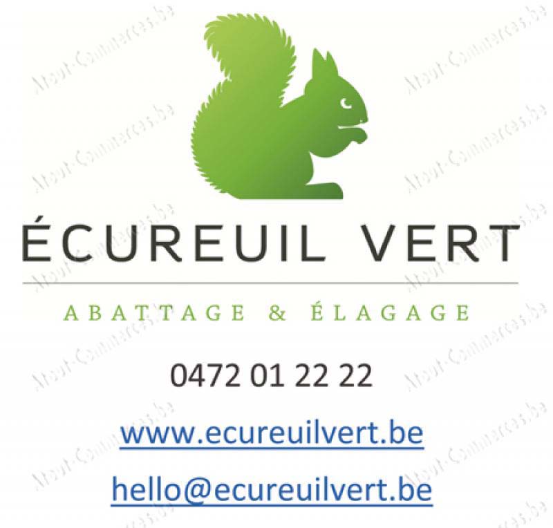Ecureuil Vert 