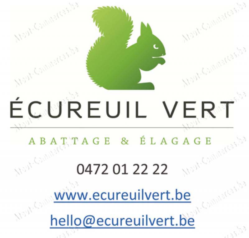 Ecureuil Vert