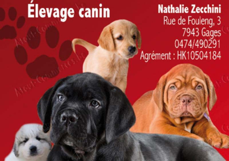Elevage Canin Domaine de Natfil