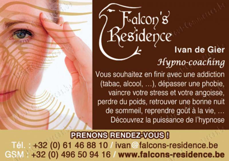 Falcon´s Residence