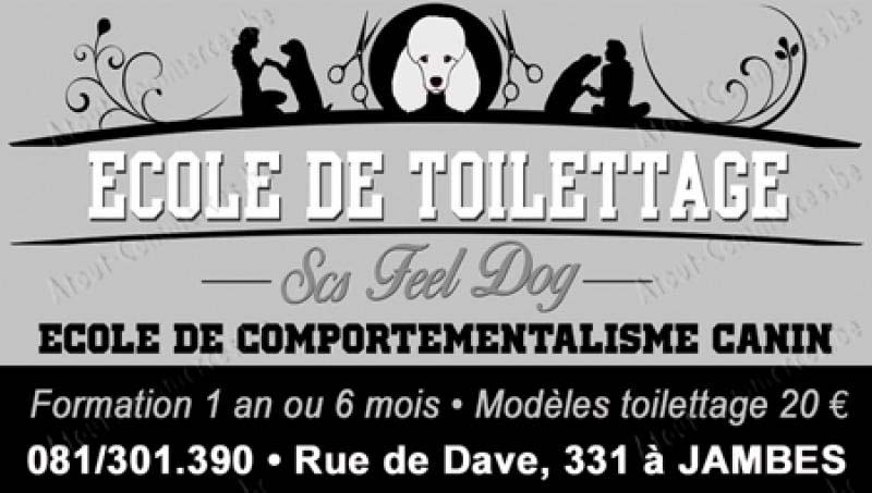 Feel Dog Scs