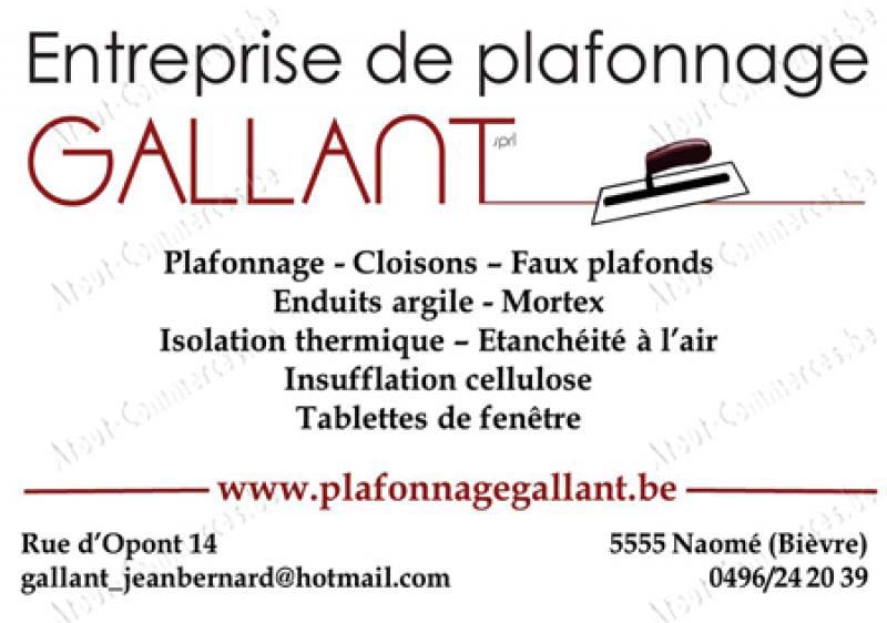 Gallant Sprl