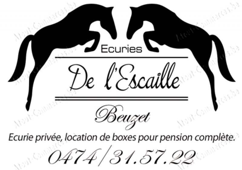 Escaille (De l')