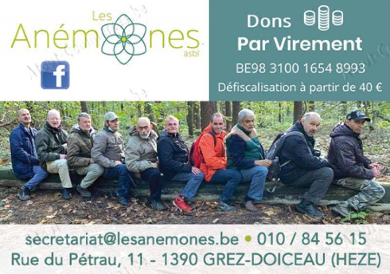 Les Anémones