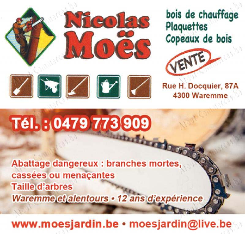 Moes Nicolas