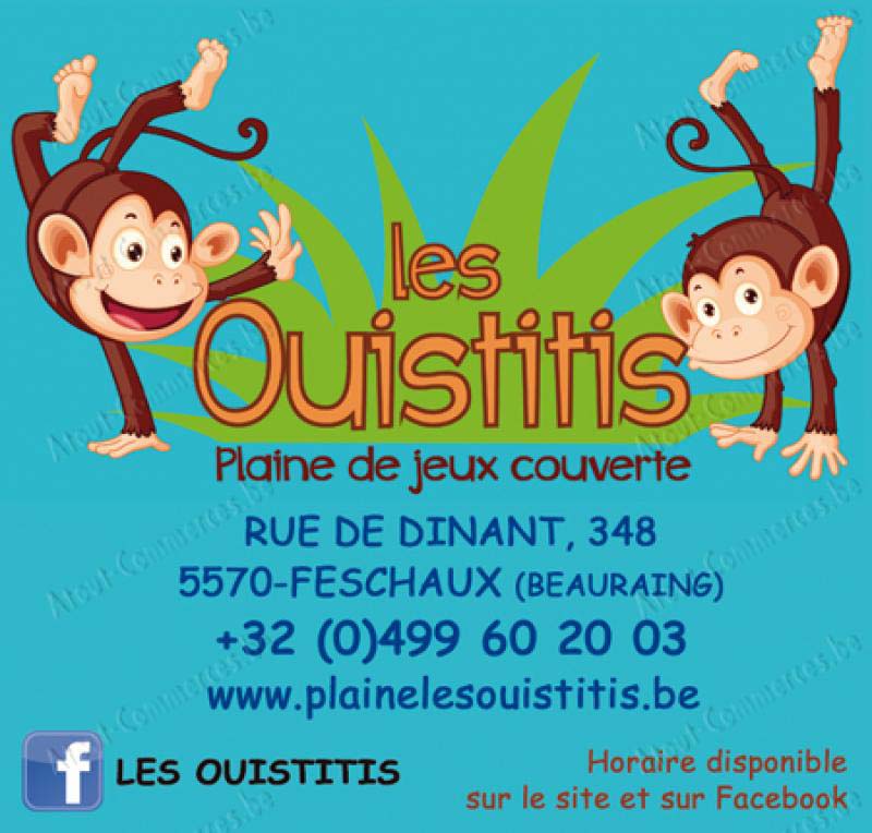 Ouistitis (Les)