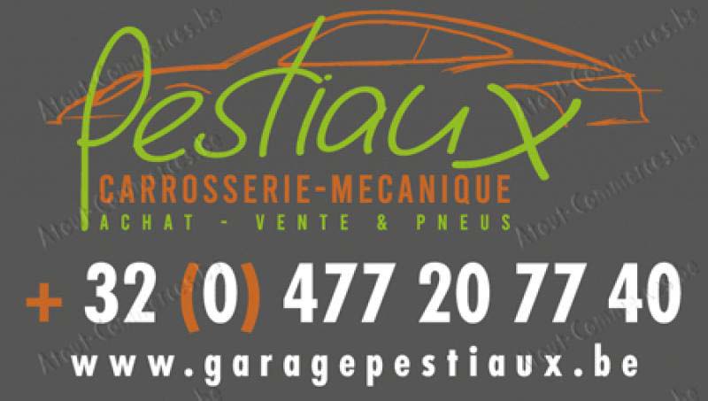 Pestiaux Frederic