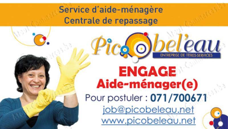 Picobel'eau Scre FS
