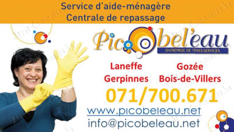 Picobel'eau Scre FS
