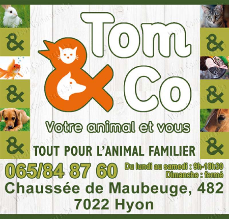 Tom & Co