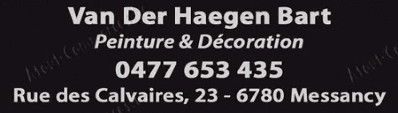 Van Der Haegen Bart