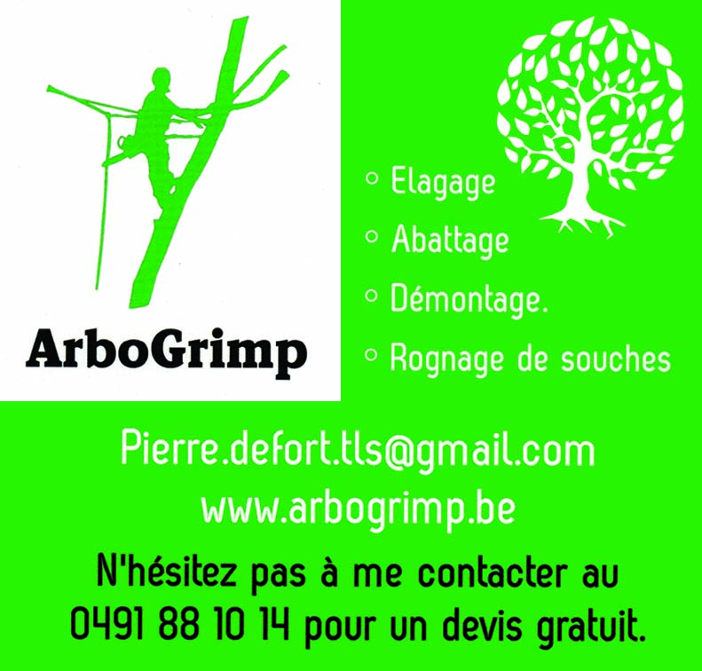 Arbogrimp