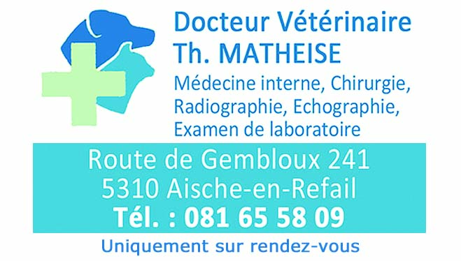 Matheise Thierry