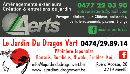 Aerts - Le Jardin du Dragon Vert