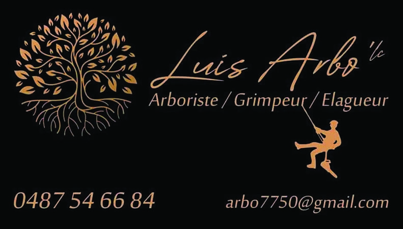 Luis Arbo'Lc 