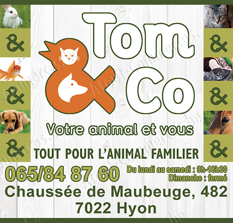Tom & Co
