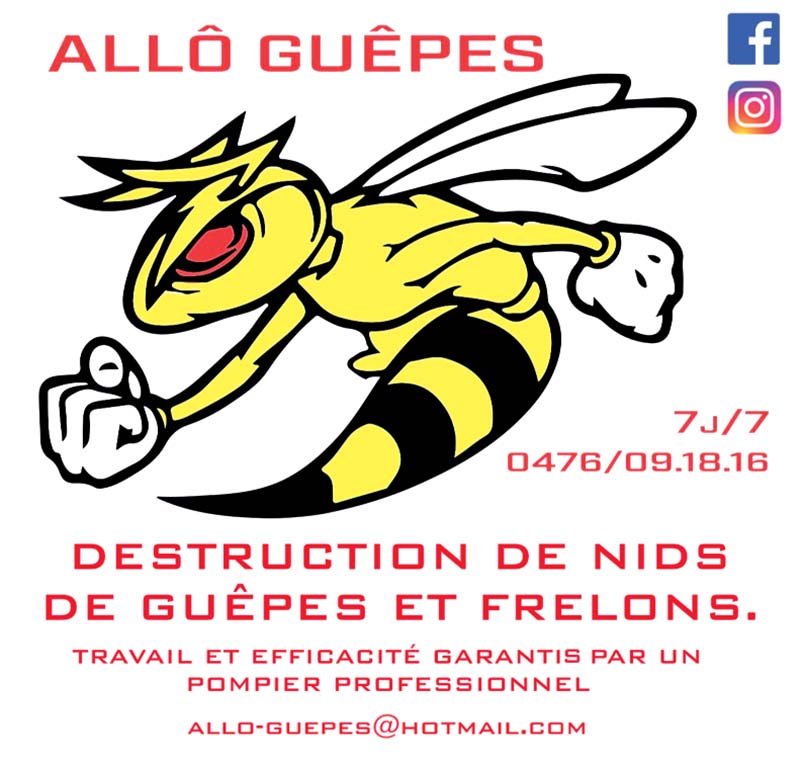 Allo Guêpes