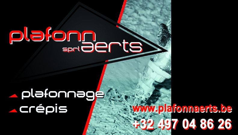 Plafonnaerts Srl