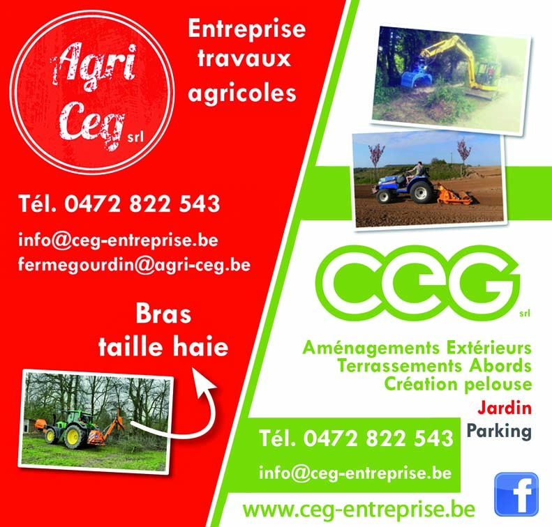 C.E.G. Srl