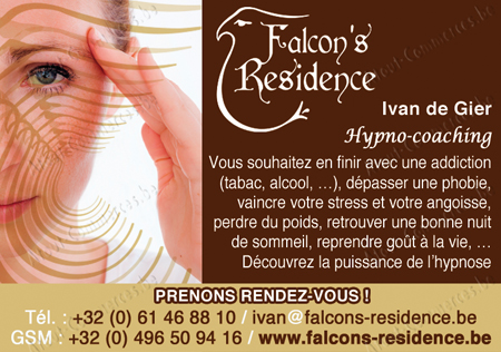 Falcon´s Residence