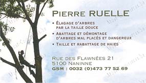 Ruelle Pierre