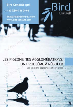 Bird Consult Sprl