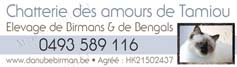 Chatterie des Amours de Tamiou