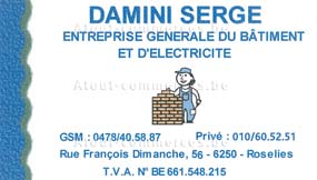Damini Serge
