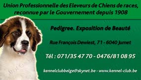 Kennel Club Belge