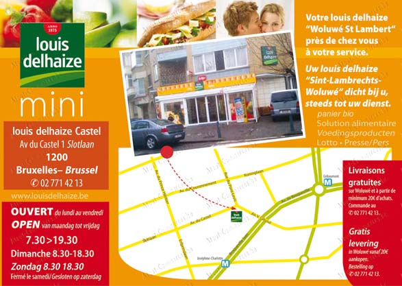 Louis Delhaize Castel