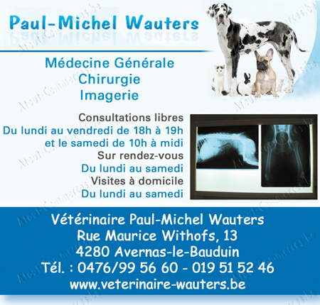 Paul-Michel Wauters 